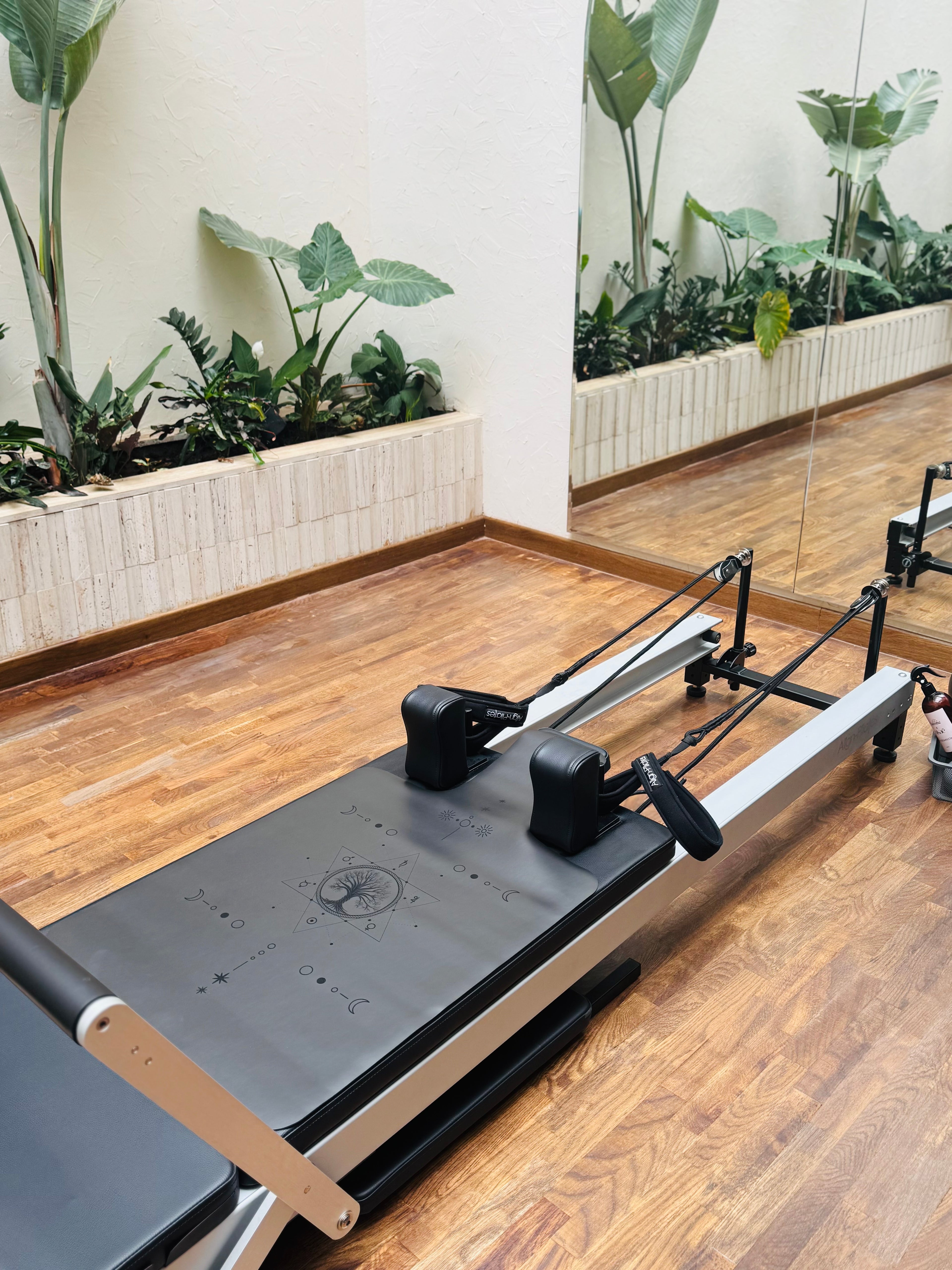 Tapis Pilates Reformer| Arbre de vie